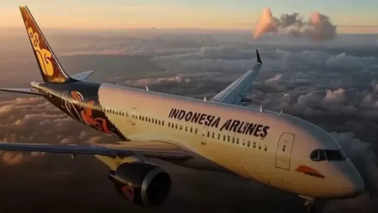 Indonesia Airlines Belum Dapat Izin Operasional, Kemenhub Beri Penjelasan