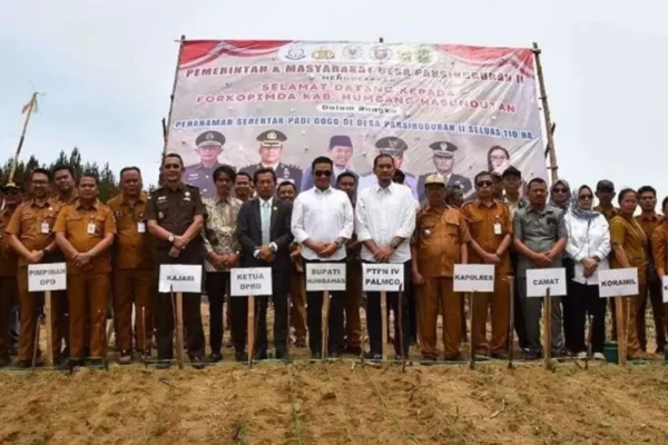 PTPN IV PalmCo Salurkan Bibit Padi untuk 110 Hektar di HUT ke-80 RI | Nasional