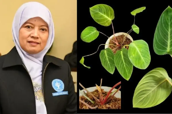 Inovasi Super Denox IPB untuk Meningkatkan Kualitas Air Udang | Teknologi