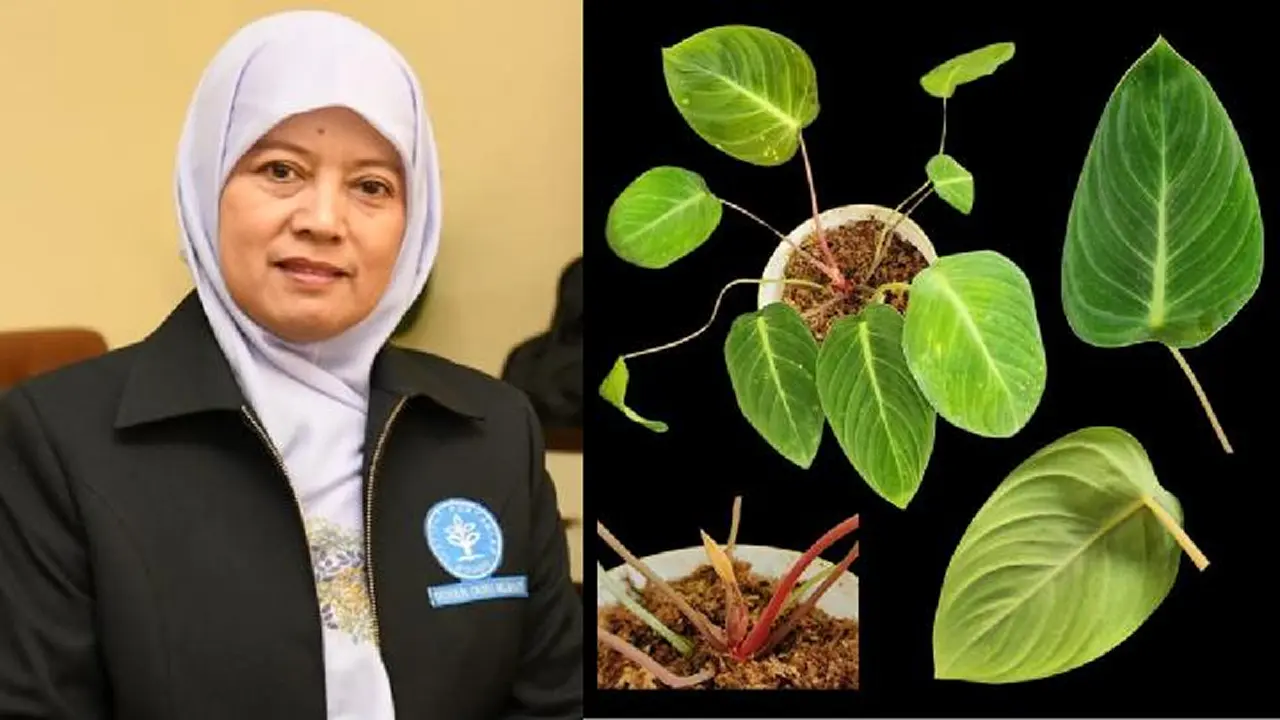 Inovasi Super Denox IPB untuk Meningkatkan Kualitas Air Udang | Teknologi