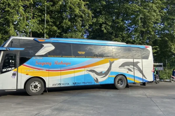 Sopir Bus Pilih Permen untuk Antisipasi Kantuk, Khawatir Royalti | sopir bus