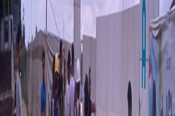 [original_title]